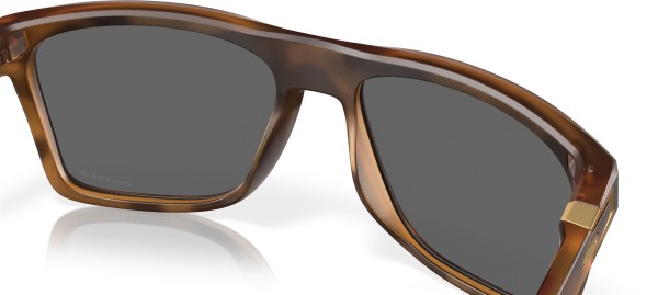 LEFFINGWELL Sonnenbrille matte brown tortoise/prizm black polarized 