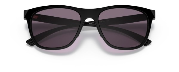 LEADLINE Sunglasses matte black/prizm grey 