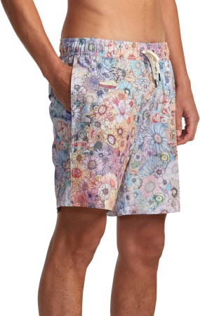 SAGE ELASTIC HEMP 17 Boardshort 2024 multi 