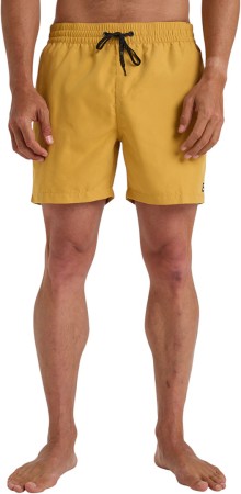 ALL DAY 16 Boardshort 2025 honey 