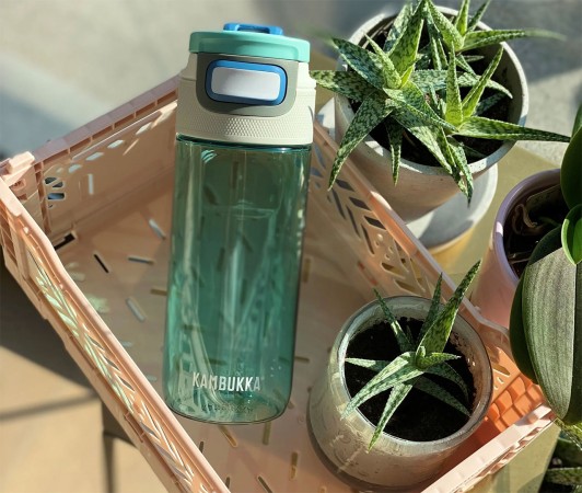 ELTON 500ML Trinkflasche 2026 ice green 