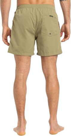 EVERYDAY BEACH 15 Boardshort 2025 aloe 