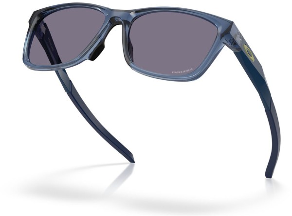 PARACORD Sonnenbrille transparent abyss/prizm grey 
