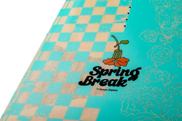 SPRING BREAK TRUE FLEX Wakeboard 2026 