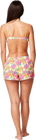 NAPKEY Boardshort 2024 alstro 