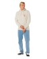 Artikelbild 4 des Artikels “SEARCH ICON Hoodie 2026 light grey marl L“