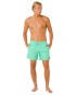 Artikelbild 4 des Artikels “OFFSET DAILY VOLLEY 16 Boardshort 2026 green sd M“