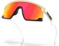Product image 4 of the product “BXTR Sunglasses matte desert tan/matte black/prizm ruby ”