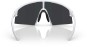 Product image 4 of the product “P006 Sunglasses 2026 matte white/blue multi ”