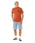 Artikelbild 4 des Artikels “WETTIE PASSAGE ICON T-Shirt 2026 baked clay S“