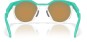 Product image 4 of the product “HSTN Sunglasses olive ink/prizm tungsten polarized ”