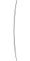 Product image 4 of the product “COPYCAT PRO Wakeboard 2025 156”