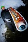Artikelbild 4 des Artikels “COLD WORLD Snowboard 2027 155“