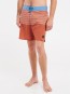 Artikelbild 4 des Artikels “PRTLOHNI Boardshort 2023 clay S“