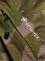 Product image 4 of the product “AK SWASH SYNTHETIC INSULATED GORE TEX 2L Jacket 2027 keel camo XXL”