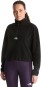 Artikelbild 4 des Artikels “WOMEN NOVELTY LOGO GLACIER 1/4 Zip Fleece 2027 tnf black L“