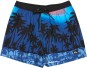 Artikelbild 4 des Artikels “EVERYDAY PRINTED 15 Boardshort 2026 monaco blue holmes L“
