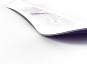 Artikelbild 4 des Artikels “LOTUS 2027 inkl. SPELL white 151 | S“