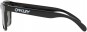 Product image 4 of the product “FROGSKINS Sunglasses polished black/prizm black ”