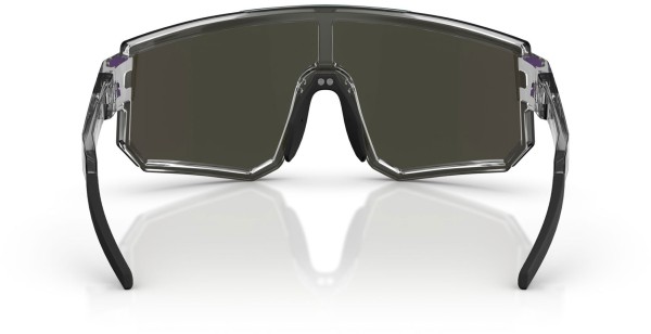 P005 Sonnenbrille 2026 crystal black/green/green multicolor 