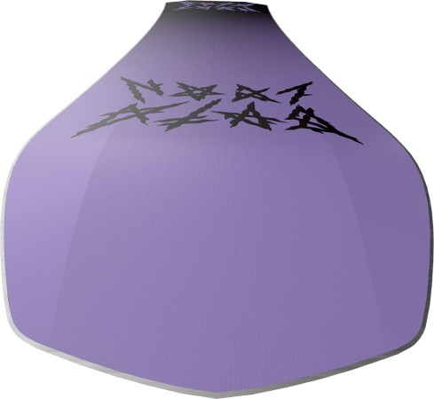 DISASTER WIDE Snowboard 2024 153W