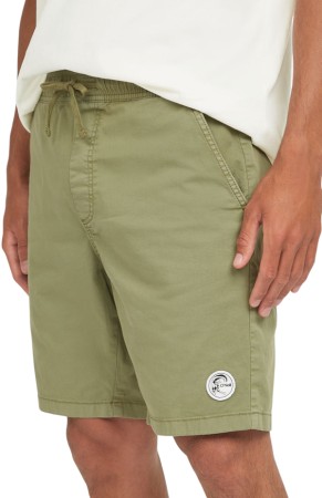 O'RIGINALS Walkshort 2025 avery fern 