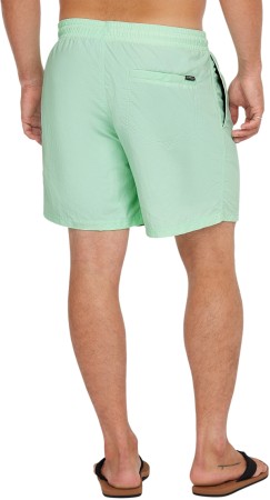 VERT 16 Boardshort 2025 mildrew mint 