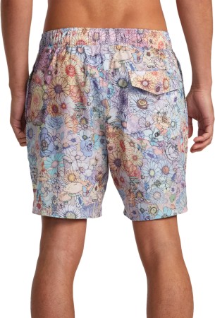 SAGE ELASTIC HEMP 17 Boardshort 2024 multi 