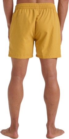 ALL DAY 16 Boardshort 2025 honey 