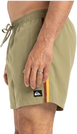 EVERYDAY BEACH 15 Boardshort 2025 aloe 