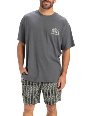 CL FREEDOM SWELL T-Shirt 2025 iron gate 