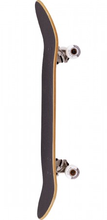 FEATHERS + ICECREAM + PALMS + SURFER THE ONE EDITION Skateboard 