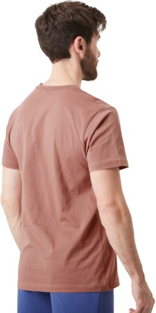 BASEMENT WEALTH T-Shirt 2025 burlwood 