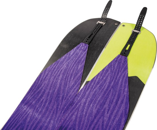 SQUASH Felle 2024 purple 
