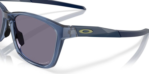 PARACORD Sonnenbrille transparent abyss/prizm grey 