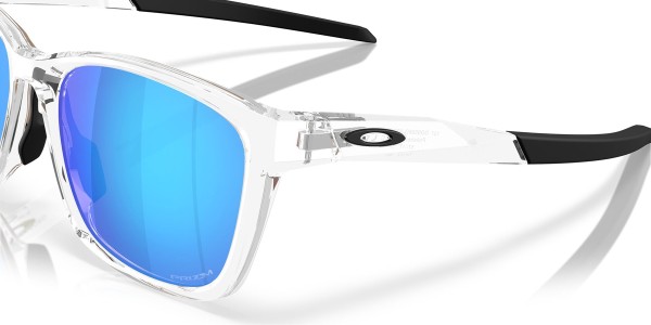 PARACORD Sonnenbrille polished clear/prizm sapphire 