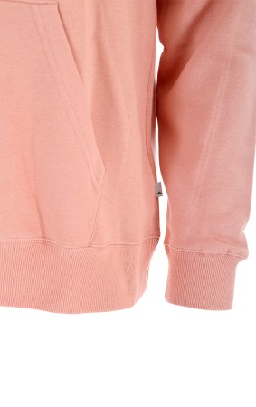 BIG LOGO Hoodie 2023 cafe creme 