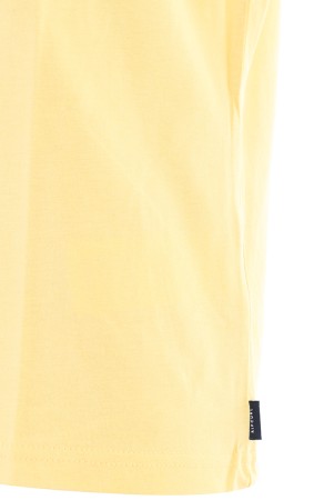 CORP ICON T-Shirt 2022 retro yellow 