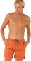 Artikelbild 5 des Artikels “EASY LIVING VOLLEY 16 Boardshort 2025 burnt orange XL“