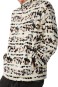 Artikelbild 5 des Artikels “SESSIONS POLAR Zip Fleece 2027 vintage white L“