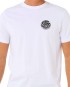 Artikelbild 5 des Artikels “WETTIE ICON T-Shirt 2026 optical white L“