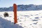 Product image 5 of the product “TRS Snowboard 2025 ”