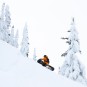 Artikelbild 5 des Artikels “LIB RIG WIDE Snowboard 2026 160W“