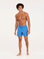 Artikelbild 5 des Artikels “DAVEY 16 Boardshort 2025 gladio blue S“