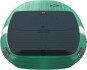 Artikelbild 5 des Artikels “SKY STYLE TEST Foilboard 2026 green 5,2“