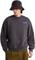 Artikelbild 5 des Artikels “RETRO TRAIL Sweater 2027 anthracite grey L“