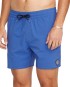 Artikelbild 5 des Artikels “LIDO SOLID 16 Boardshort 2025 ultramarine S“