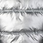 Artikelbild 5 des Artikels “GISELLE Jacke 2026 silver L“