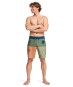 Artikelbild 5 des Artikels “REFLECTION PRO 18 Boardshort 2026 moss green 30“