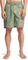 Artikelbild 5 des Artikels “WASTED TIMES LAY BACK 18,5 Boardshort 2026 moss green S“